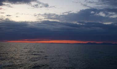 It is a long established fact that a reader will be distracted